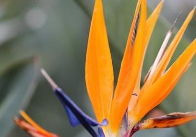 送女生的生日祝福语(热门40句)