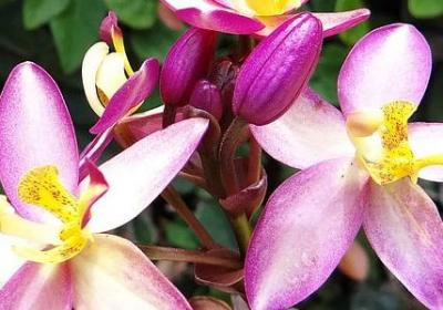 送给考上大学的祝福语(合集40句)