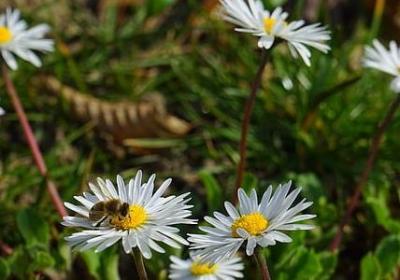 迟到生日祝福语简短8字(合集49句)