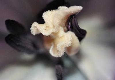 送给朋友的生日祝福语(通用50句)