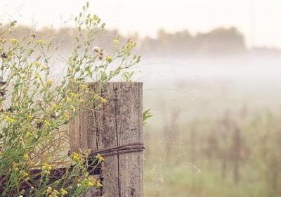 运动会简单的祝福语(合集15句)