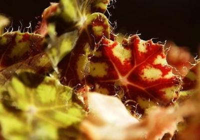 进房子的祝福语(推荐50句)