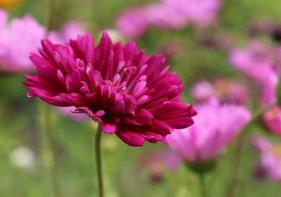 送给老师的祝福语(合集80句)