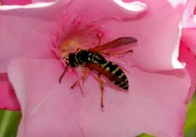 送给家人的祝福语(共40句) 送给家人的祝福语(共40句)