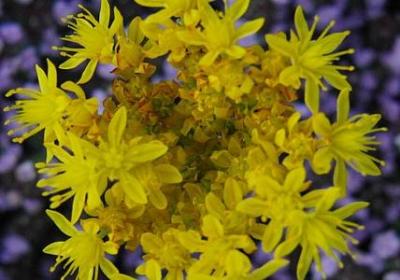 送别祝福语(合集60句) 送别祝福语(合集60句)