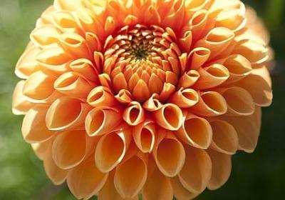 迟来的生日快乐祝福语(必备50句) 迟来的生日快乐祝福语(必备50句)