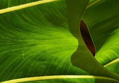 运动会祝福语大全集(合集70句) 运动会祝福语大全集(合集70句)