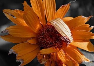 送给爸爸的生日祝福语(精选29句) 送给爸爸的生日祝福语(精选29句)