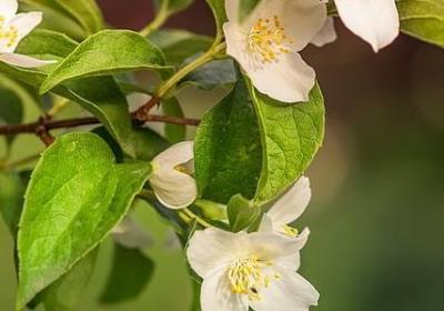 送给学生的祝福语简短(合集70句) 送给学生的祝福语简短(合集70句)