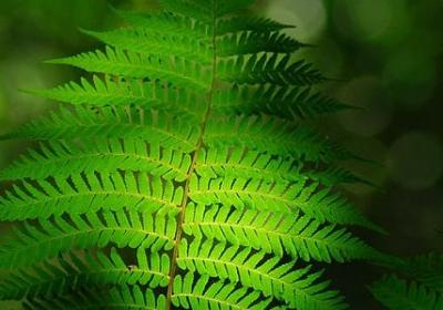 送人礼物的祝福语简短(通用59句) 送人礼物的祝福语简短(通用59句)