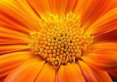 迟到的祝福语怎么说(合集40句) 迟到的祝福语怎么说(合集40句)