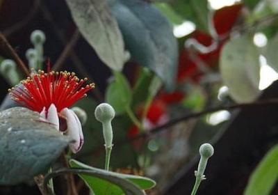 送帆船的祝福语(必备40句) 送帆船的祝福语(必备40句)