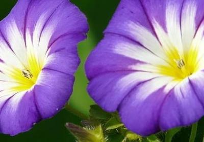 退休祝福语(汇总40句) 退休祝福语(汇总40句)