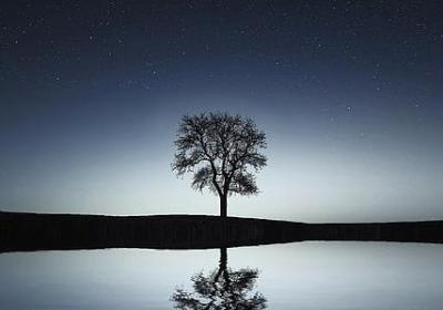 送小学生的祝福语(40句) 送小学生的祝福语(40句)