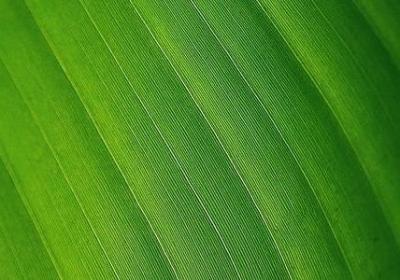 送孩子上大学的祝福语(通用49句) 送孩子上大学的祝福语(通用49句)