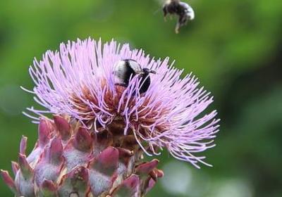 送给新郎的祝福语(汇总80句)