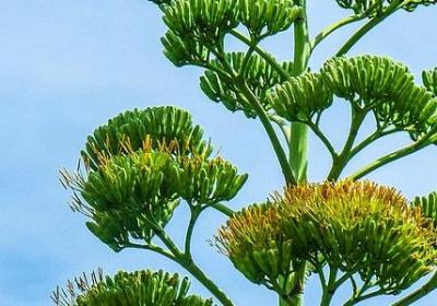 送口红的祝福语(共70句)