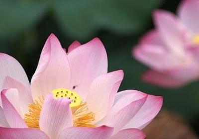 送老人走的祝福语(汇总60句)