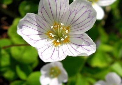 送朋友的祝福语(实用60句)