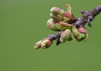 退休蛋糕祝福语(共50句)