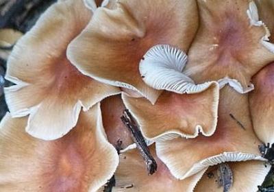 送给好朋友的祝福语(合集50句)