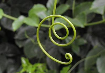 退休祝福语8个字(精选40句)