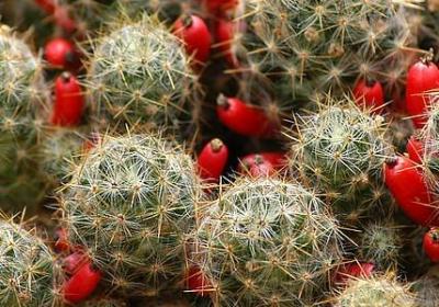 进入小学的祝福语(40句)