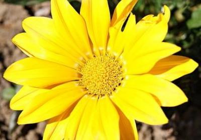 送给哥哥的祝福语(热门70句)