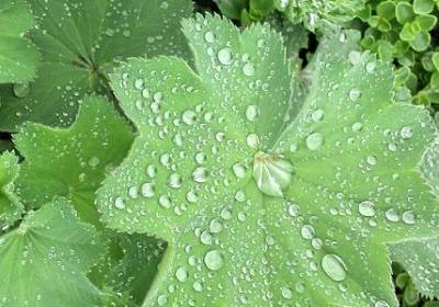 送给父亲的生日祝福语(精选60句)