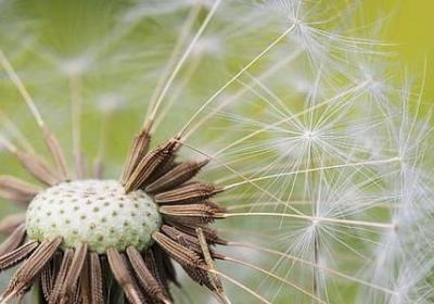 送给男人的生日祝福语(实用40句)