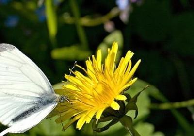 送女朋友生日祝福语(共40句)