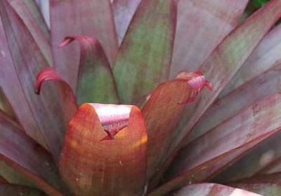 远方的朋友生日祝福语(实用60句)