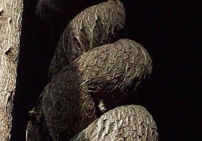 送给高考孩子的祝福语(实用60句)