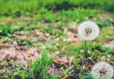 送给运动员的祝福语(推荐50句)