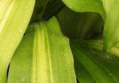 送给舅舅的生日祝福语(汇总40句)