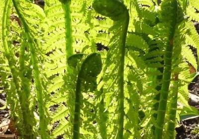 送给老婆的生日祝福语(实用39句)