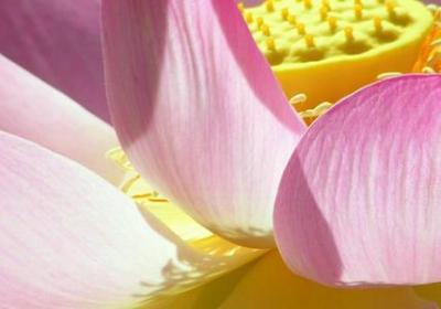 送给退休老师的祝福语(共50句)