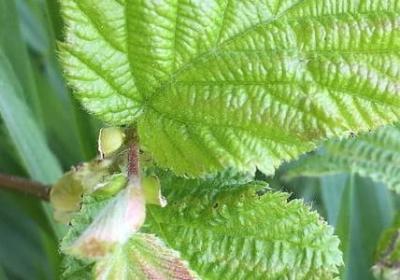 送男朋友生日祝福语(热门5句)