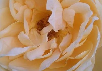 进新房的祝福语(实用50句)