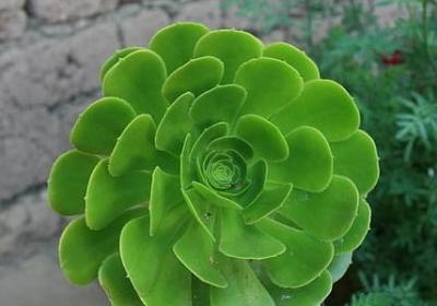 送祝福语(优选70句)