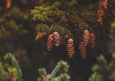 退休教师祝福语(合集50句)