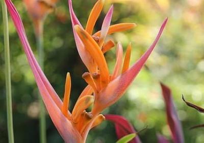 运动比赛祝福语(优选61句) 运动比赛祝福语(优选61句)