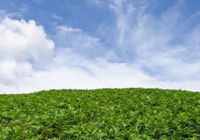 送别朋友的祝福语简短(必备40句) 送别朋友的祝福语简短(必备40句)