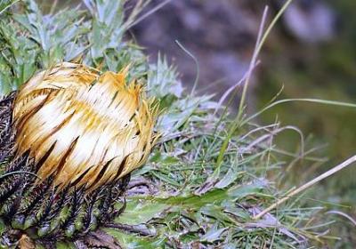 送老师祝福语(精选50句) 送老师祝福语(精选50句)