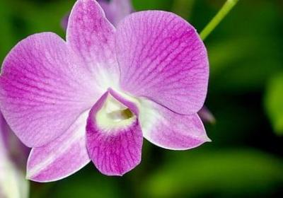 送病人祝福语(60句) 送病人祝福语(60句)