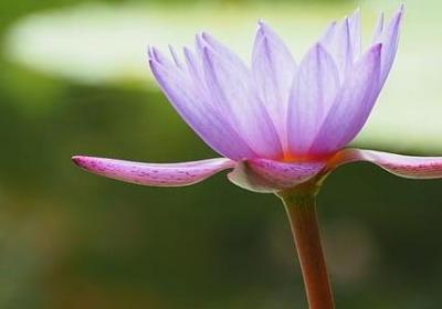 送姐姐结婚的祝福语(通用39句) 送姐姐结婚的祝福语(通用39句)