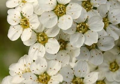 送女儿的祝福语(合集40句) 送女儿的祝福语(合集40句)