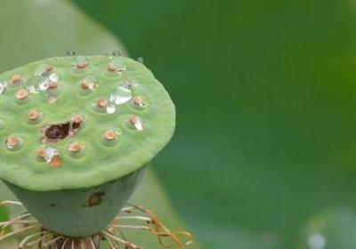 送书祝福语(必备60句) 送书祝福语(必备60句)