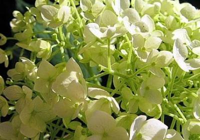 送笔的祝福语(实用40句)