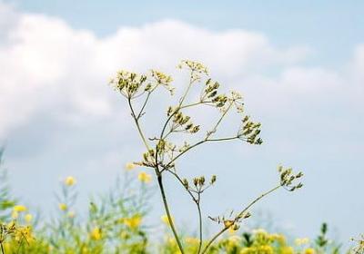 送离职同事的祝福语(共50句)